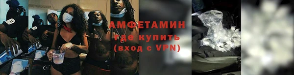 шишки Алексин