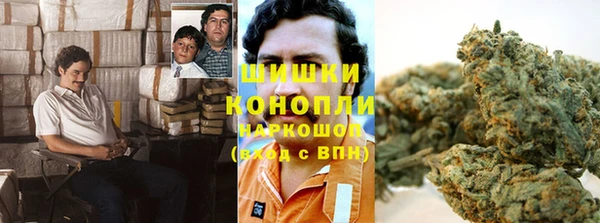 шишки Алексин